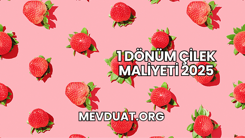 1 Dönüm Çilek Maliyeti 2025