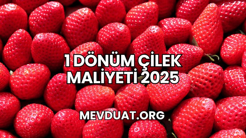 1 Dönüm Çilek Maliyeti 2025