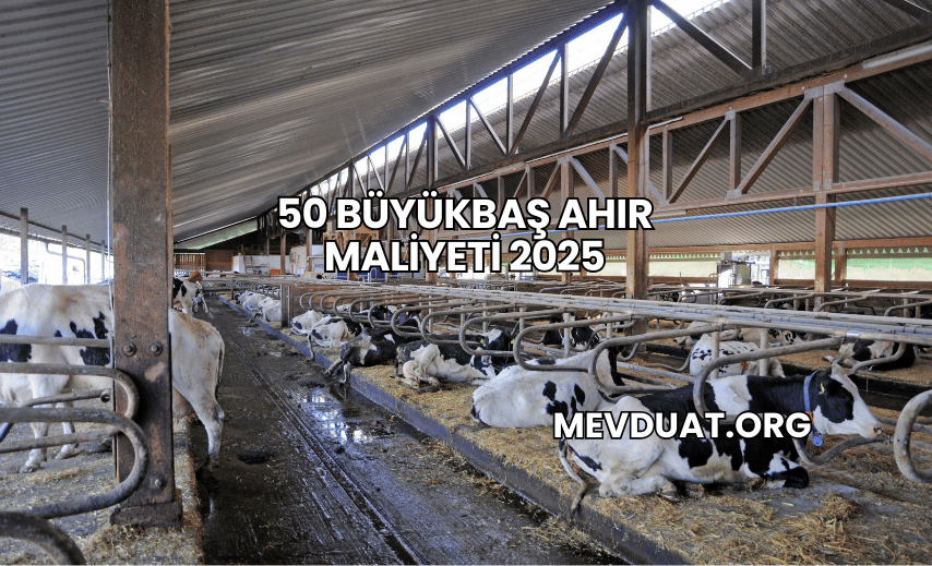 50 Büyükbaş Ahır Maliyeti 2025