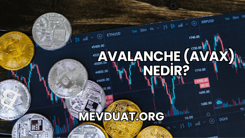 Avalanche (AVAX) Nedir?