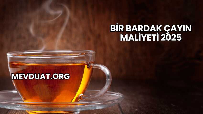 Bir Bardak Çayın Maliyeti 2025