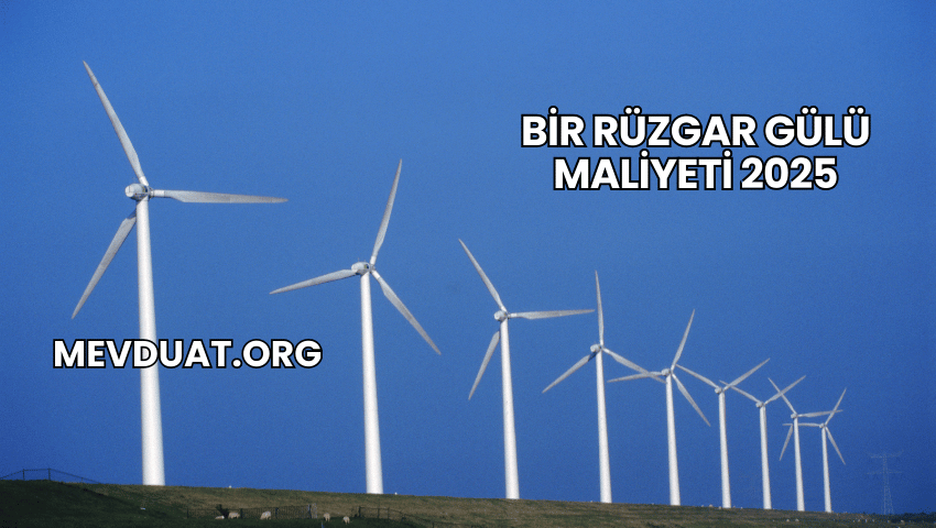 Bir Rüzgar Gülü Maliyeti 2025