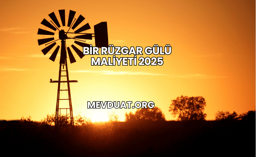 Bir Rüzgar Gülü Maliyeti 2025