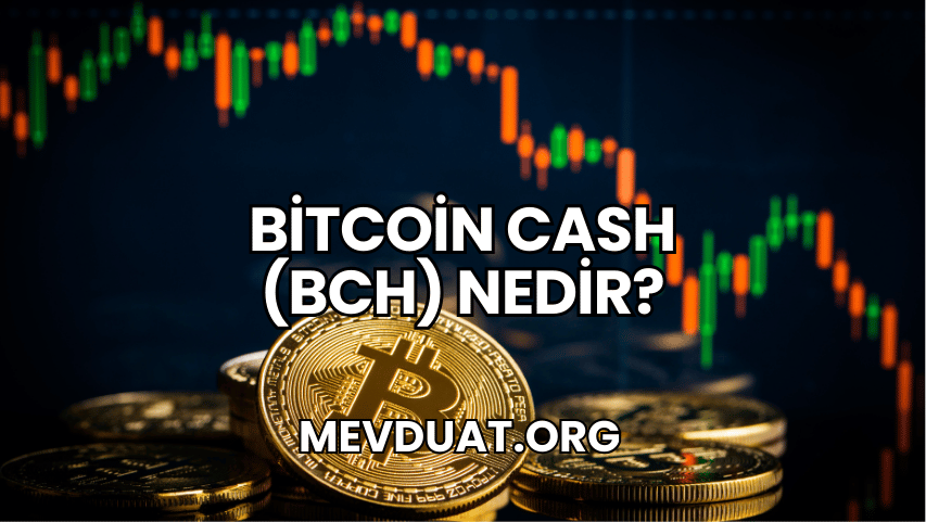 Bitcoin Cash (BCH) Nedir?