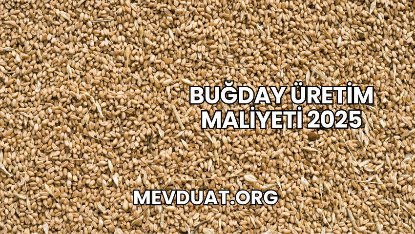 Buğday Üretim Maliyeti 2025