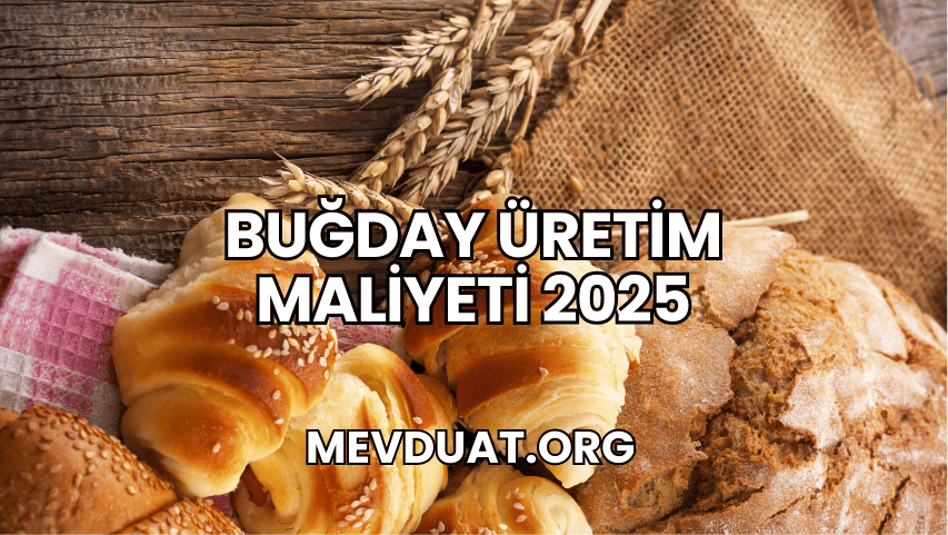 Buğday Üretim Maliyeti 2025