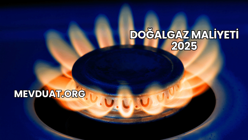 Doğalgaz Maliyeti 2025