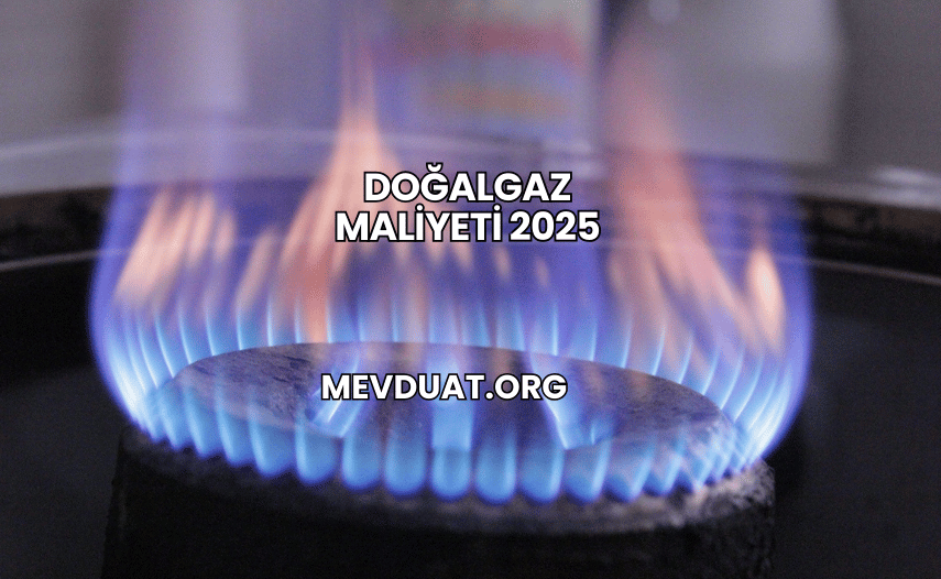 Doğalgaz Maliyeti 2025