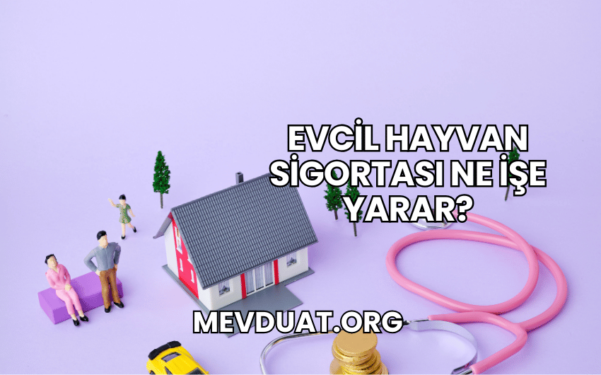 Evcil Hayvan Sigortası Ne İşe Yarar?