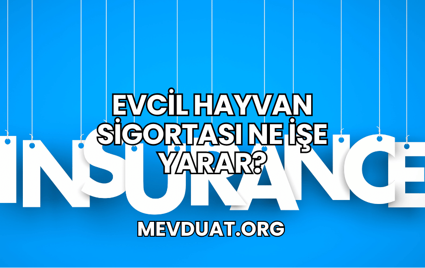 Evcil Hayvan Sigortası Ne İşe Yarar?