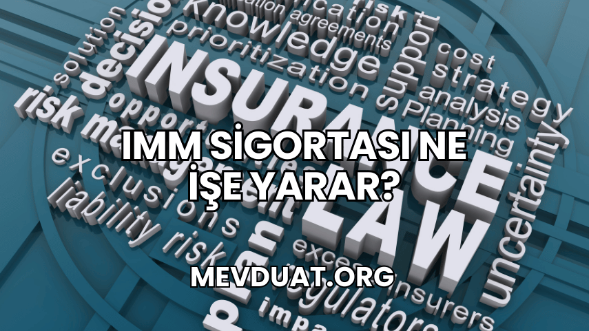 IMM Sigortası Ne İşe Yarar?