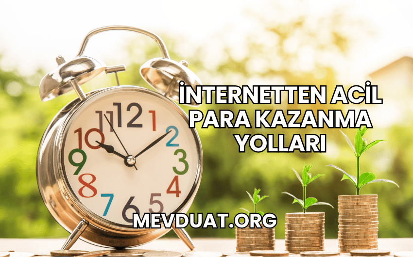 İnternetten Acil Para Kazanma Yolları