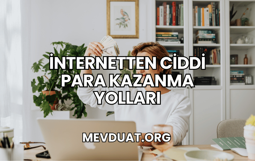 İnternetten Ciddi Para Kazanma Yolları