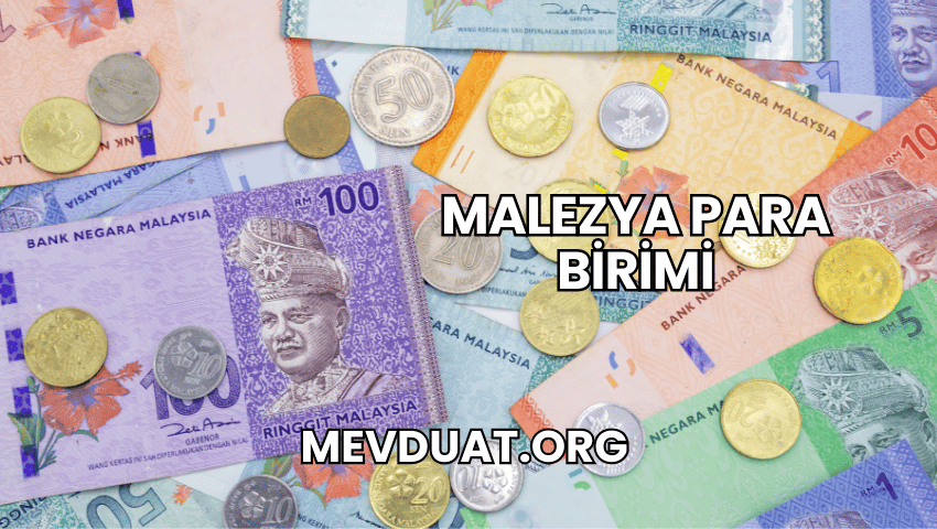 Malezya Para Birimi