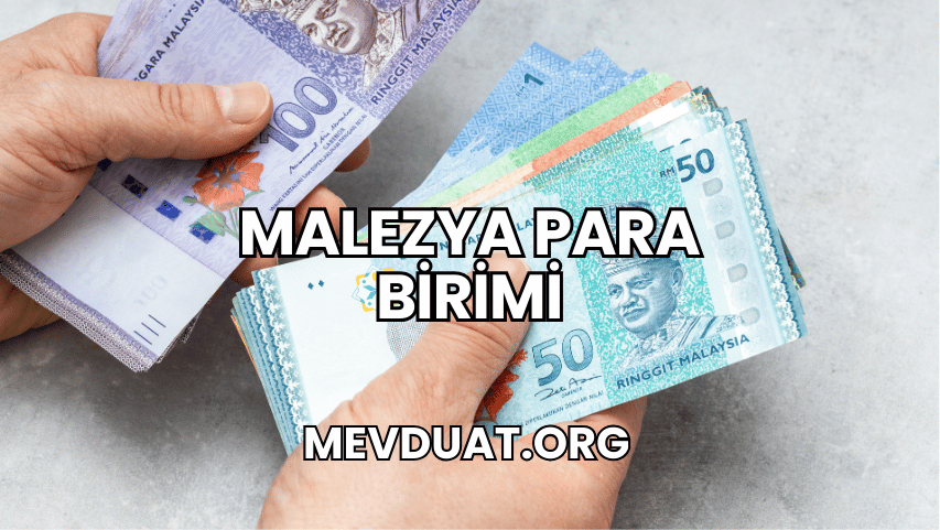 Malezya Para Birimi