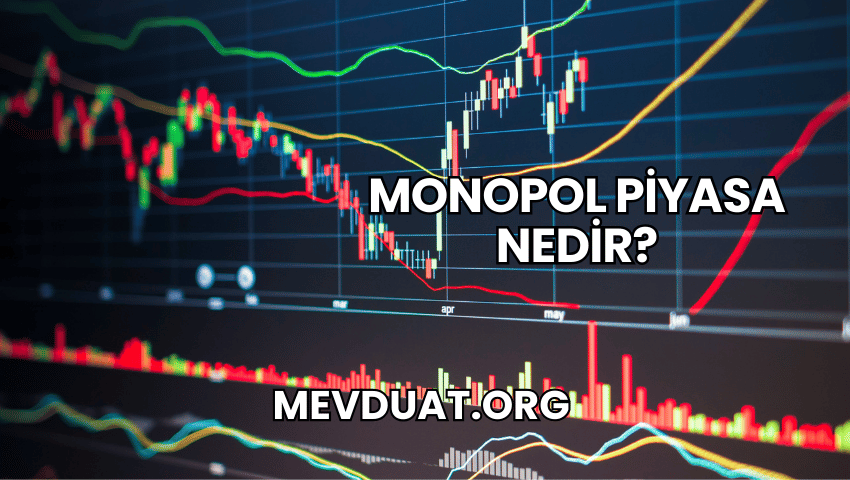 Monopol Piyasa Nedir?