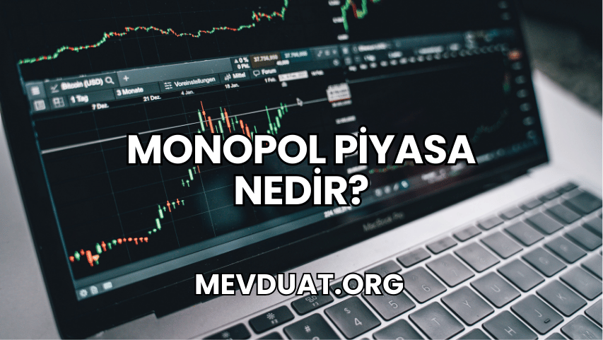 Monopol Piyasa Nedir?