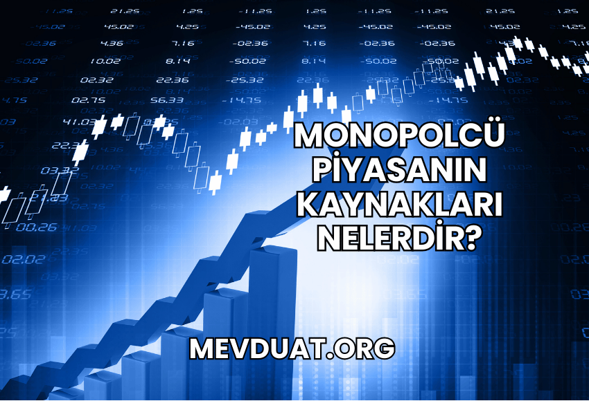 Monopolcü Piyasanın Kaynakları Nelerdir?