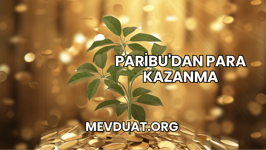 Paribu'dan Para Kazanma