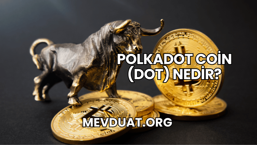 Polkadot Coin (DOT) Nedir?