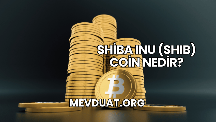 Shiba Inu (SHIB) Coin Nedir?