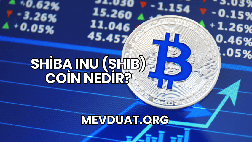 Shiba Inu (SHIB) Coin Nedir?