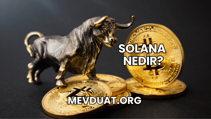 Solana Nedir?