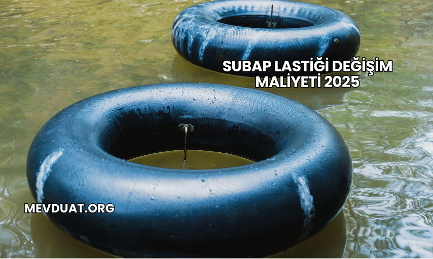 Subap Lastiği Değişim Maliyeti 2025