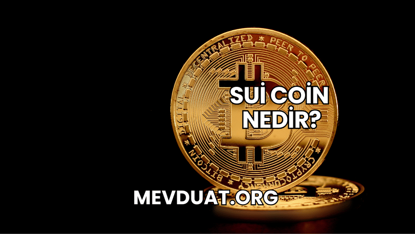 Sui Coin Nedir?