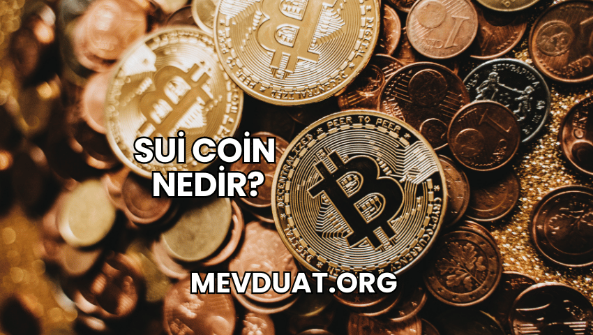 Sui Coin Nedir?