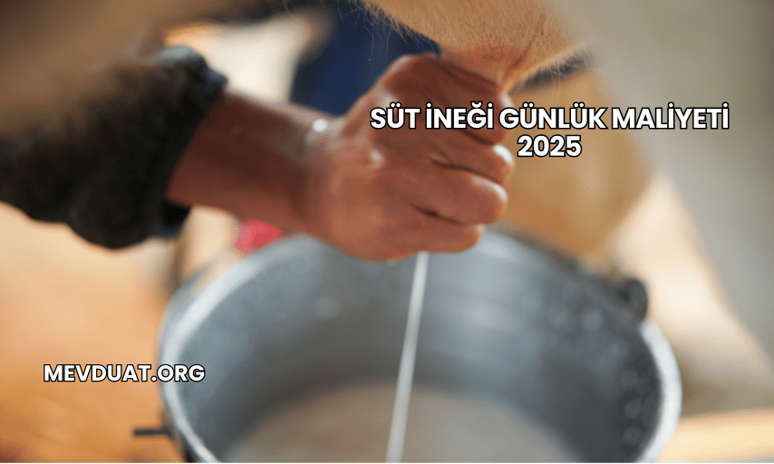 Süt İneği Günlük Maliyeti 2025