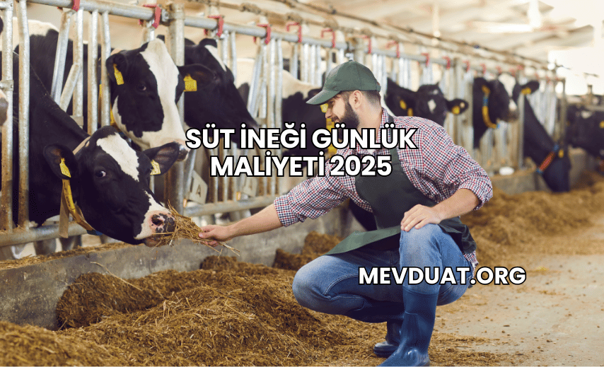 Süt İneği Günlük Maliyeti 2025