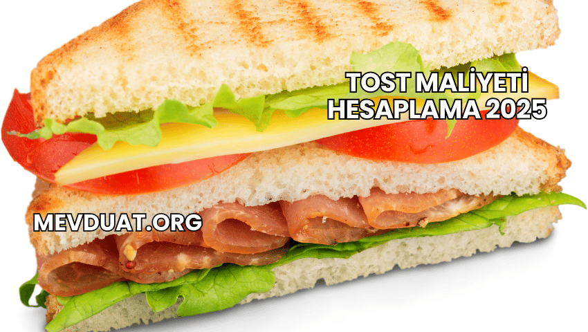 Tost Maliyeti Hesaplama 2025