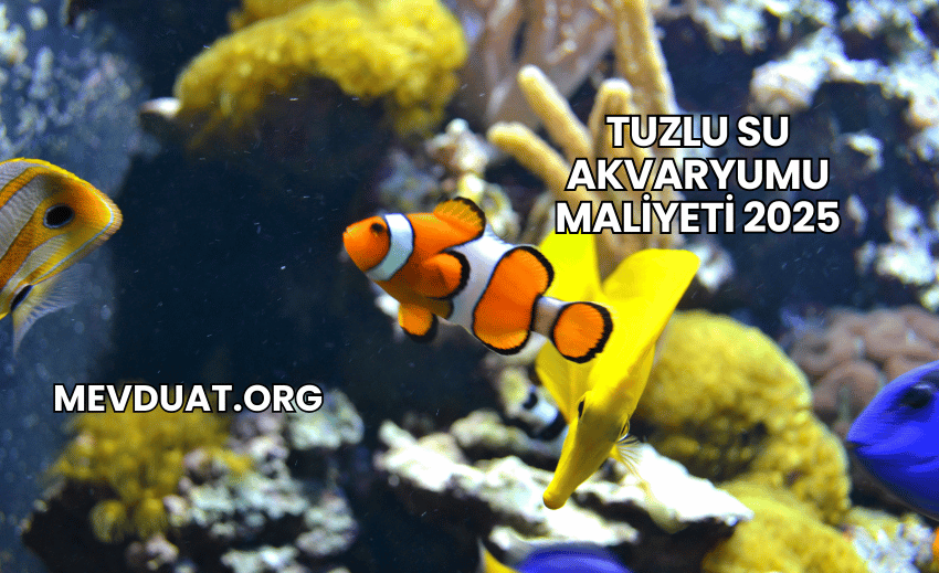 Tuzlu Su Akvaryumu Maliyeti 2025