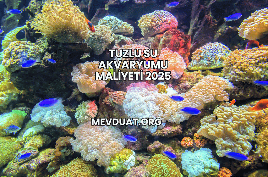 Tuzlu Su Akvaryumu Maliyeti 2025