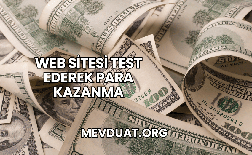 Web Sitesi Test Ederek Para Kazanma