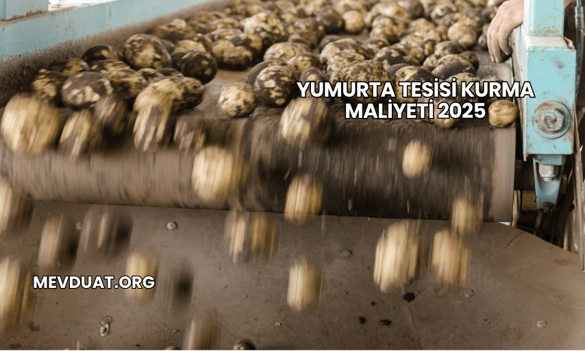 Yumurta Tesisi Kurma Maliyeti 2025