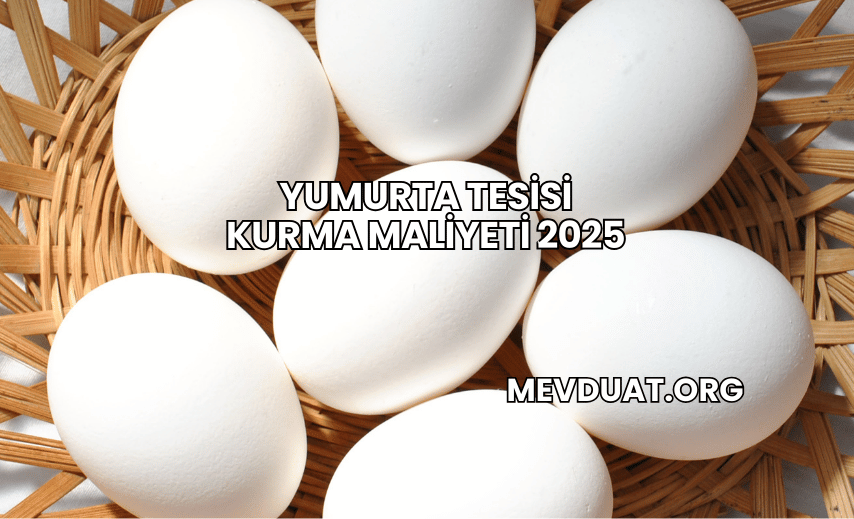 Yumurta Tesisi Kurma Maliyeti 2025