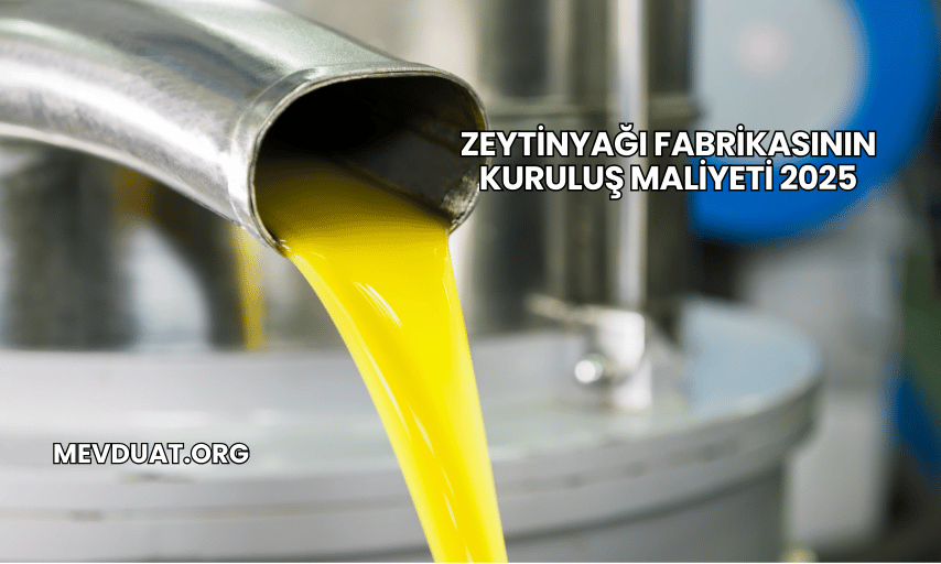 Zeytinyağı Fabrikasının Kuruluş Maliyeti 2025