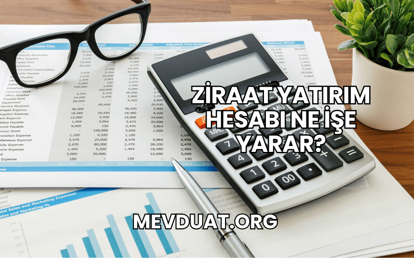 Ziraat Yatırım Hesabı Ne İşe Yarar?