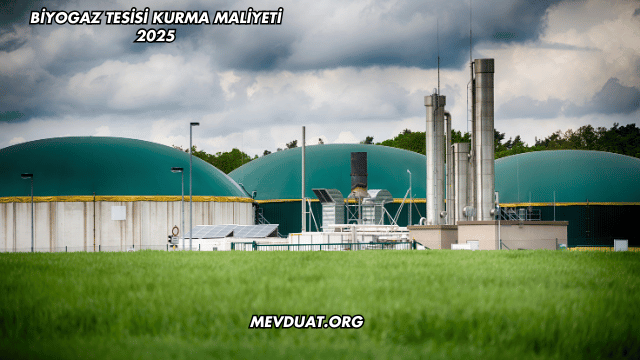 Biyogaz Tesisi Kurma Maliyeti 2025